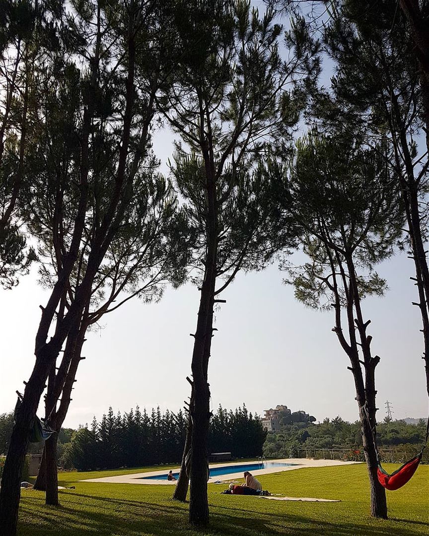 ... If you are chilling by the pool, Or resting under a pine tree,That... (Dalhoûn, Mont-Liban, Lebanon)
