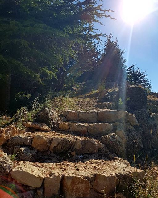 "If you are thankful and grateful every morning as you woke up, happiness... (Falougha, Mont-Liban, Lebanon)