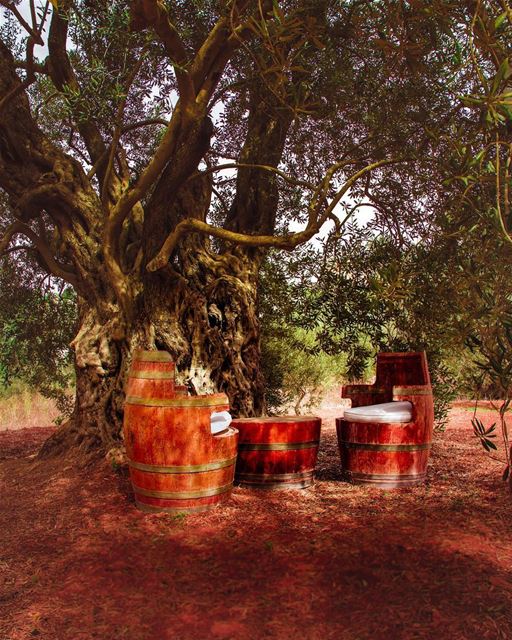 If you can choose any one to sit with, who would it be, and why? ...... (Deir Mîmess, Al Janub, Lebanon)