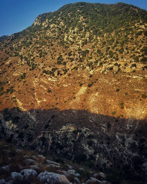 If you correct your mind, the rest of your life will fall into place.*By... (`Arab Salim, Al Janub, Lebanon)