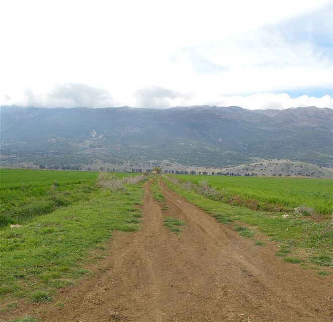 "If you do not possess caution and discrimination, do not wander on the... (`Ammiq, Béqaa, Lebanon)