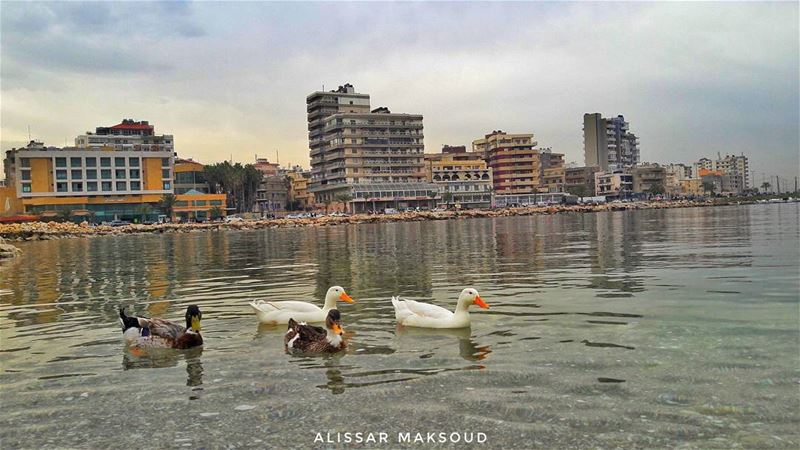 If you don't have any shadows you're not in the light.💫💫💫💫💫💫💫💫💫💫 (Tripoli, Lebanon)