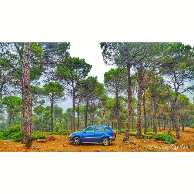 If you don't look back at your car after you park it, you own the wrong... (Baskinta, Lebanon)