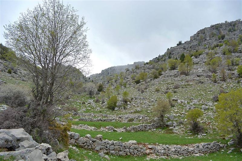 If you find all your roads and paths blocked, He will show you a secret... (Tannurin At Tahta, Liban-Nord, Lebanon)