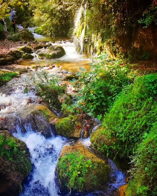 If you're not lost, you're not much of an  explorer..منطقة القمامين - ال (El Qemmâmîne, Liban-Nord, Lebanon)