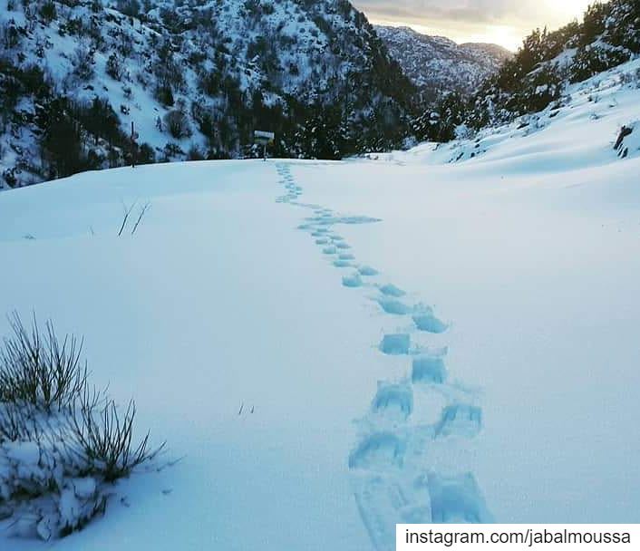 If you think adventure is dangerous, try routine. JabalMoussa ... (Jabal Moussa Biosphere Reserve)