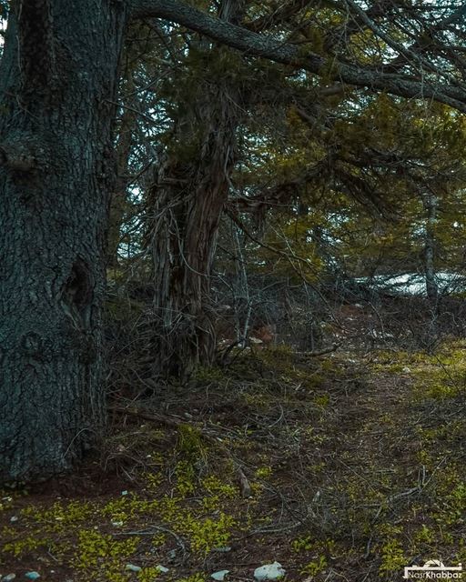 If you truly love nature, you will find beauty everywhere.Swipe left ⬅➡...