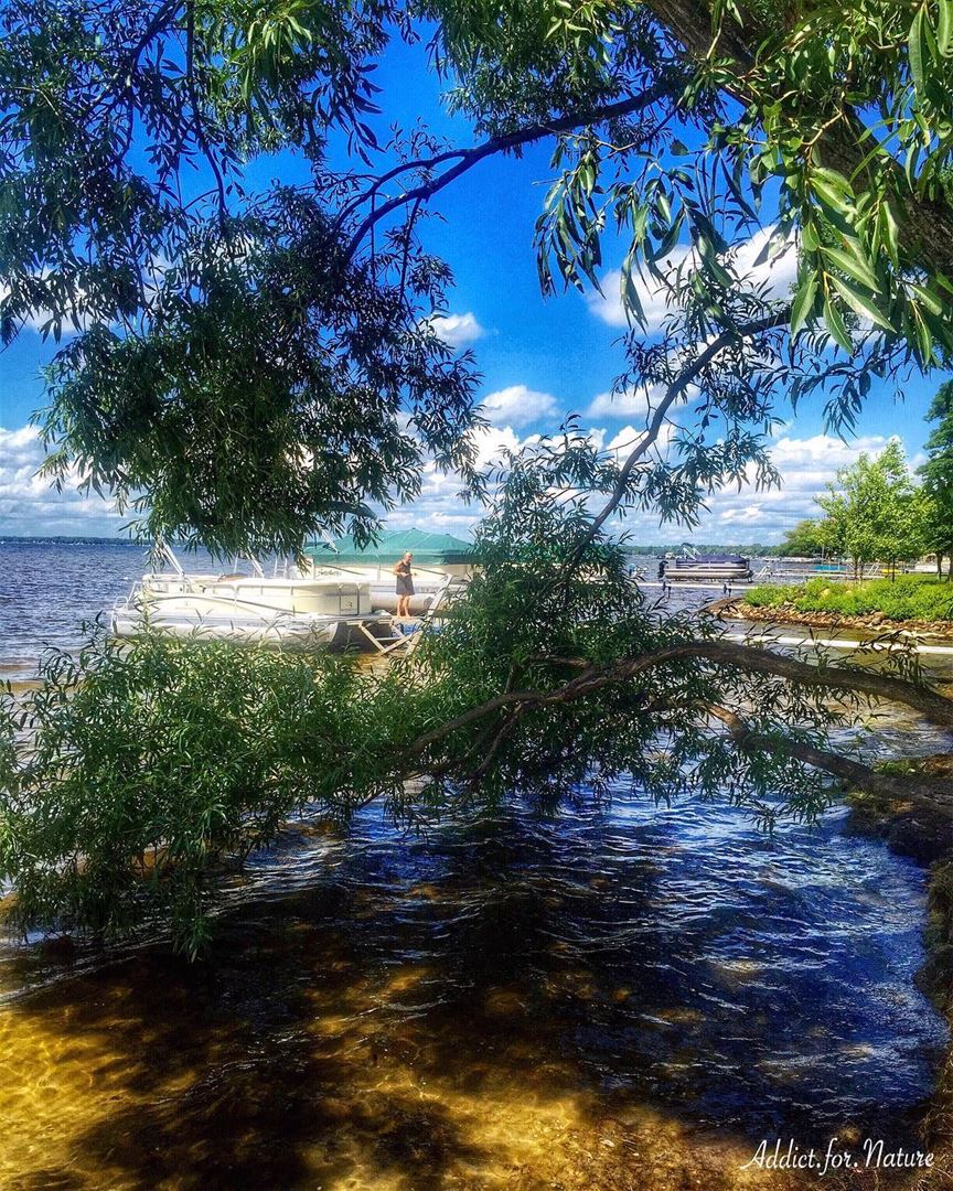 If you truly love nature, you will find beauty everywhere!....... (Houghton Lake, Michigan)