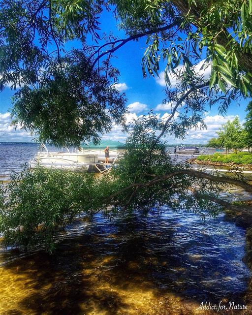 If you truly love nature, you will find beauty everywhere!....... (Houghton Lake, Michigan)