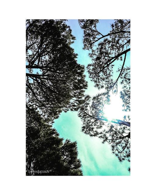"If you want to shine like a sun, first burn like a sun." - A. P. J. Abdul...
