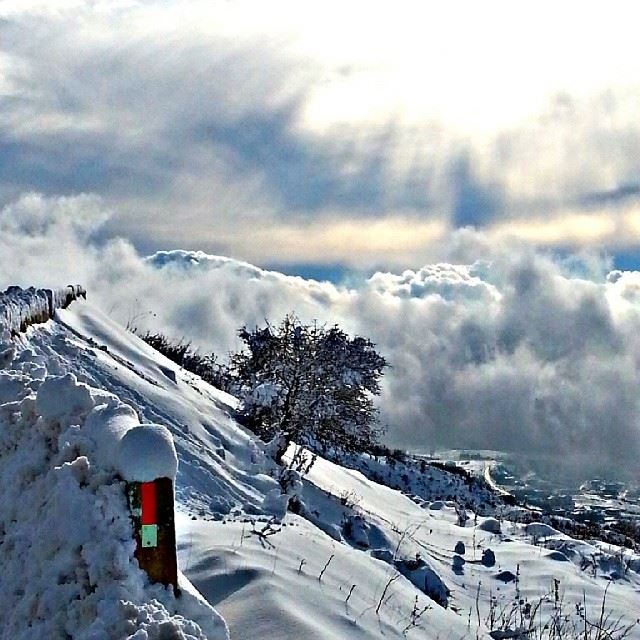  ig_leb  proudlylebanese  livelovebeirut  wearelebanon  ig_lebanon ... (Falougha)