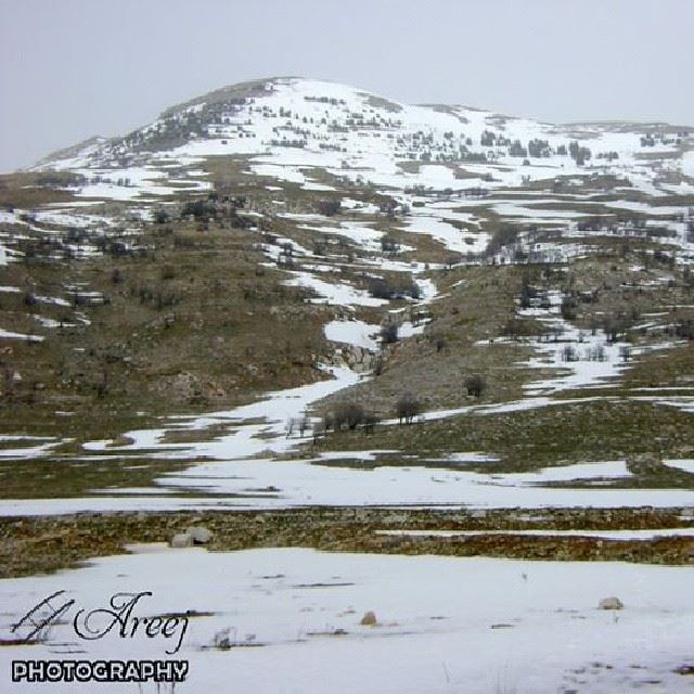  ig_leb  proudlylebanese  livelovebeirut  wearelebanon  ig_lebanon ... (Falougha)
