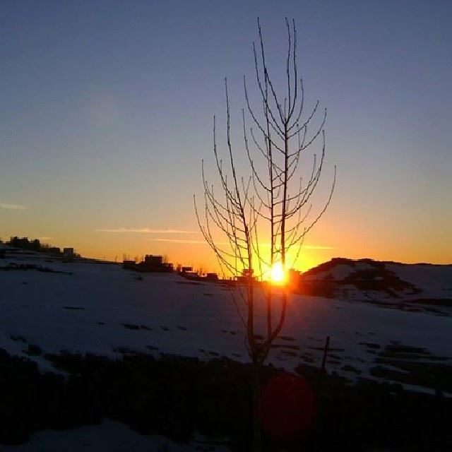  ig_leb  proudlylebanese  livelovebeirut  wearelebanon  ig_lebanon ... (Kfardebian)