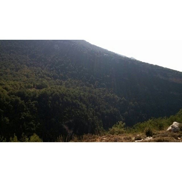  ig_lebanon  lebanon_hdr  proudlylebanese  insta_lebanon  livelovebeirut ...