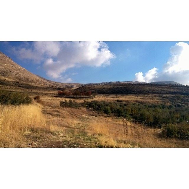  ig_lebanon  lebanon_hdr  proudlylebanese  insta_lebanon  livelovebeirut ...