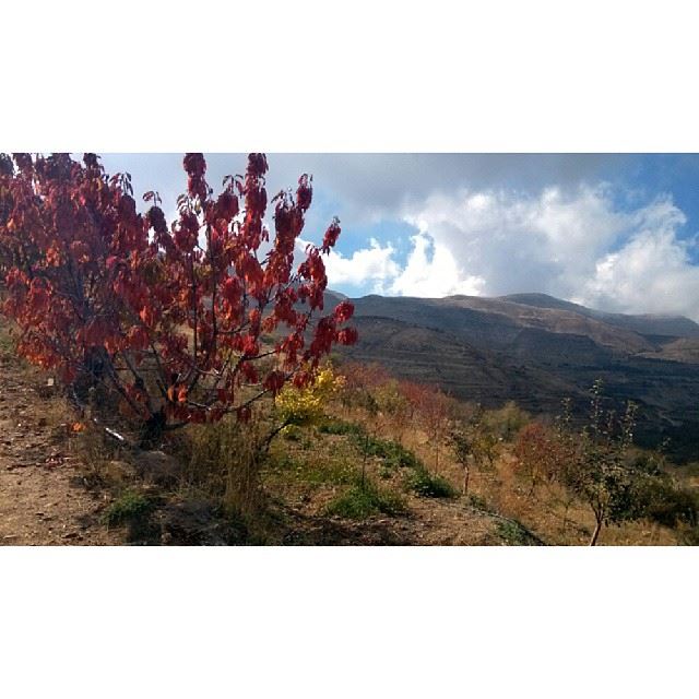  ig_lebanon  lebanon_hdr  proudlylebanese  insta_lebanon  livelovebeirut ...