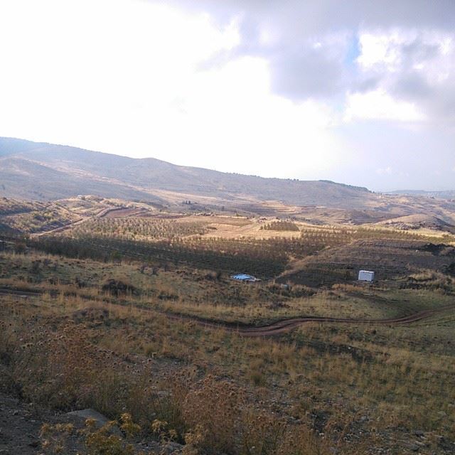  ig_lebanon  lebanon_hdr  proudlylebanese  insta_lebanon  livelovebeirut ...