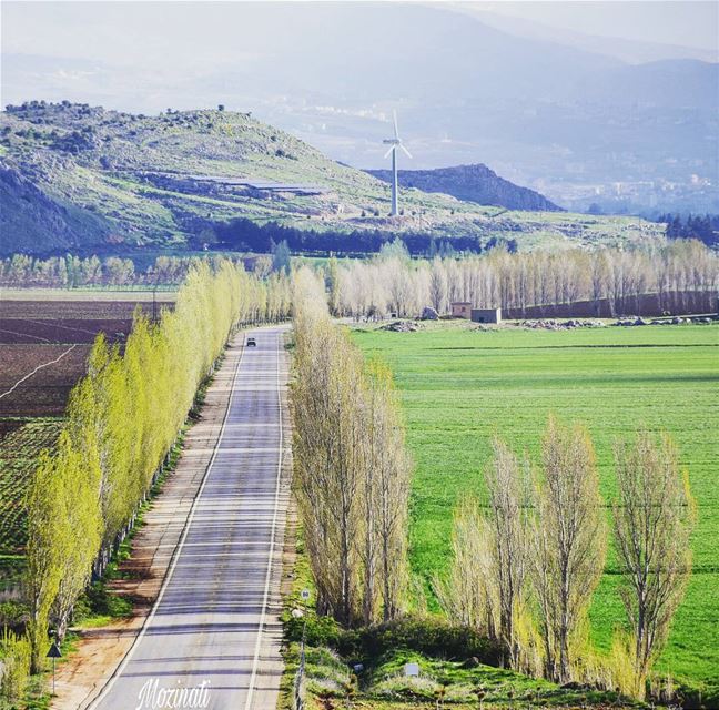  ig_street ig_sunsetshots roadtrippin road roadtrip streetshot streetstyle... (`Ammiq, Béqaa, Lebanon)