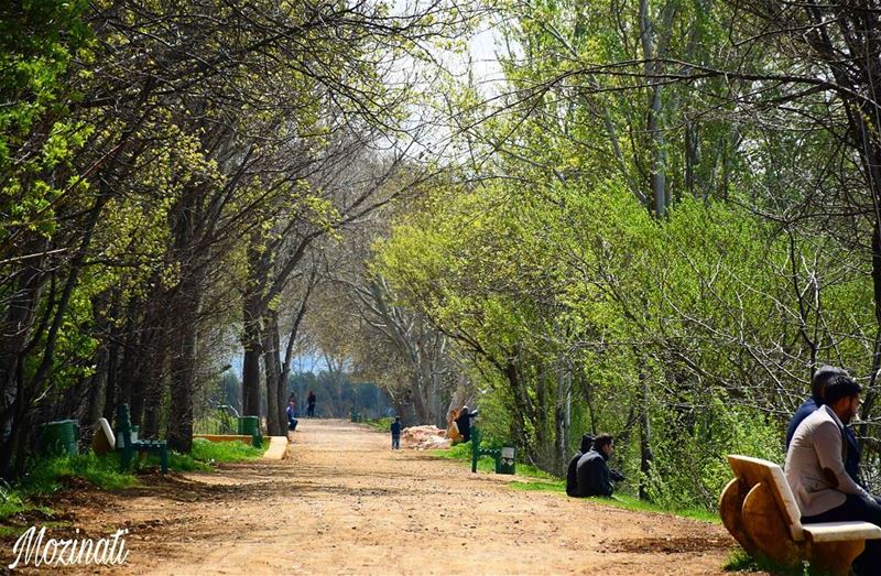  ig_street street streetshot road roadtrip roadtrippin hiking... (Taanayel Lake)