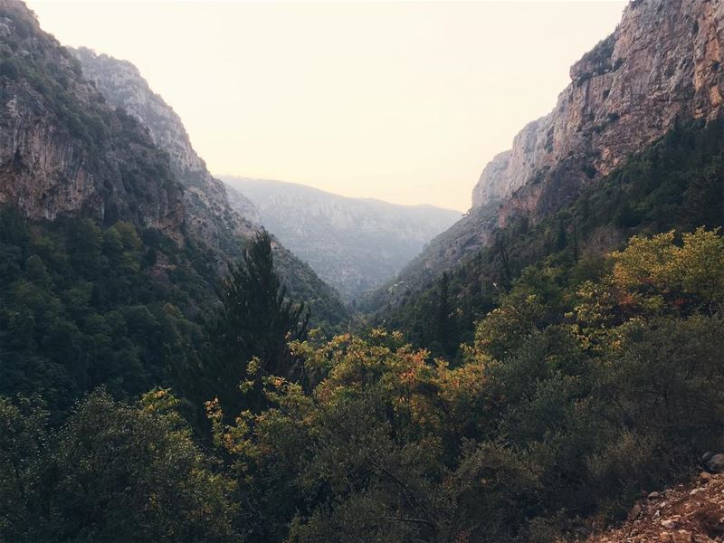 🍃⛰  igerslebanon vsco vscocam instalebanon lebanonspotlights... (مار اليشاع - وادي قنوبين)
