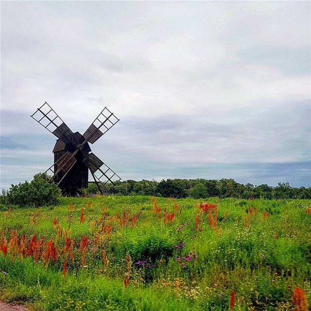  igsweden  ig_lebanon  öbilden  rebel_scapes  bns_sunset ... (Isgärde Öland)