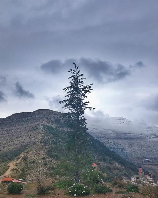 Il y a des jours, des mois, des années interminables où il ne se passe... (Ehden, Lebanon)