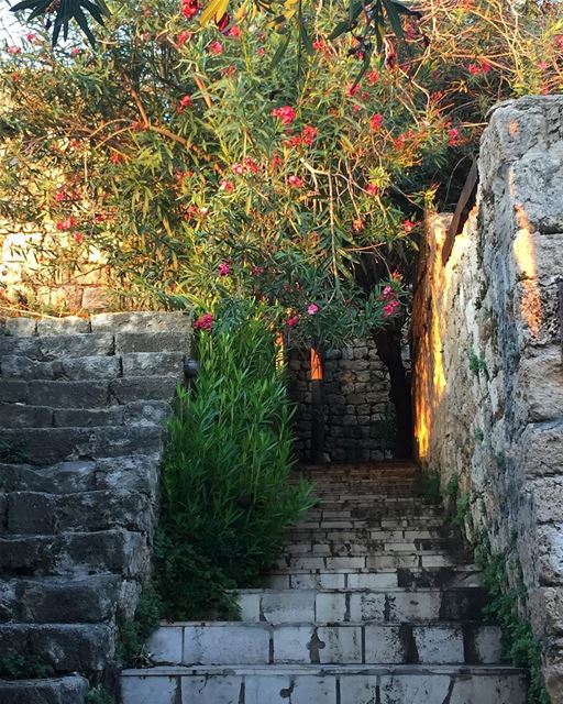 Il y a toujours un parfum printanier dans les rues de Byblos 💚 photo...
