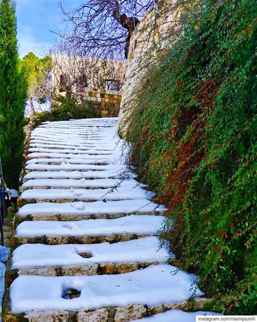 Imagine if you could walk up the stairs and get a huge hug of them you... (Maasser Ech Chouf, Béqaa, Lebanon)