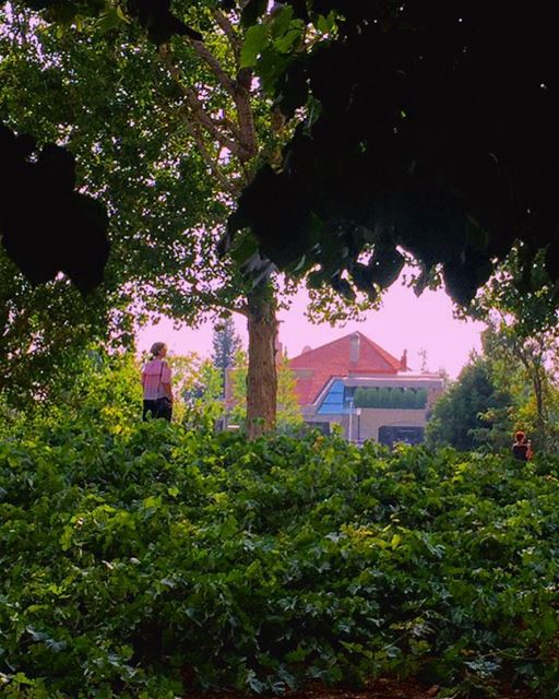 @imjustpassing 🚶🏼‍♀️....... mothernature  green  paths  walk ...