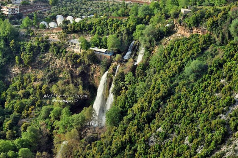 Impressive 💚  Kfarhilda  LiveLoveTannourine  LiveLoveBatroun ... (Kfarhilda, North)