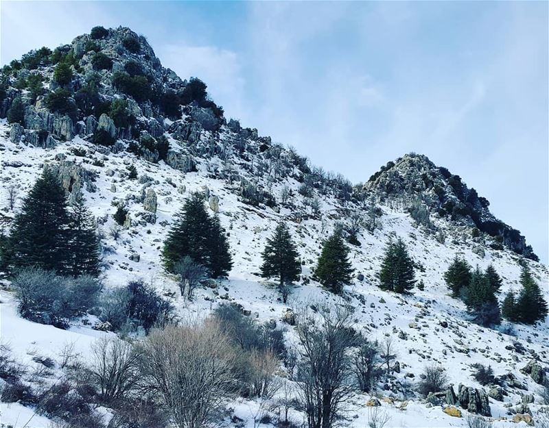 In all things of nature there is something of the marvelous snow snowhike... (Arz Ehmej)