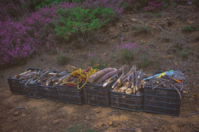 'in chopping wood; one immediately sees results ...'''' photography ... (Lebanon)