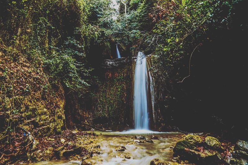 In every drop of water , there is a story of life lebanon lebanese ...