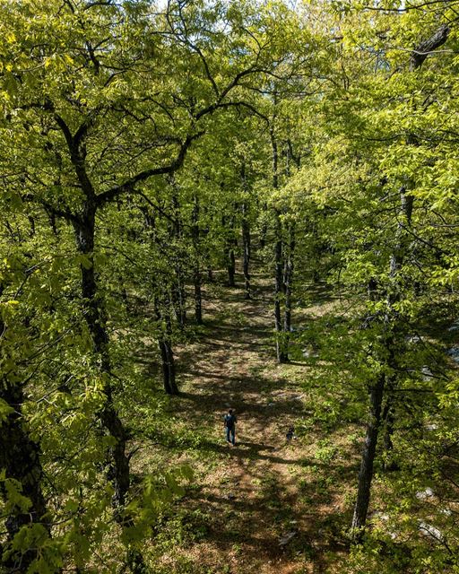 In every walk we make, we would be seeking for something.Some of us do it... (Aakar, Liban-Nord, Lebanon)