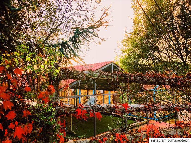 In every walk with nature one receives far more than he seeks. fall... (Ajaltoun, Mont-Liban, Lebanon)