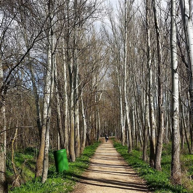 In every walk with nature one receives far more than he seeks.🌳🌳🌳 ... (Deïr Taanâyel, Béqaa, Lebanon)