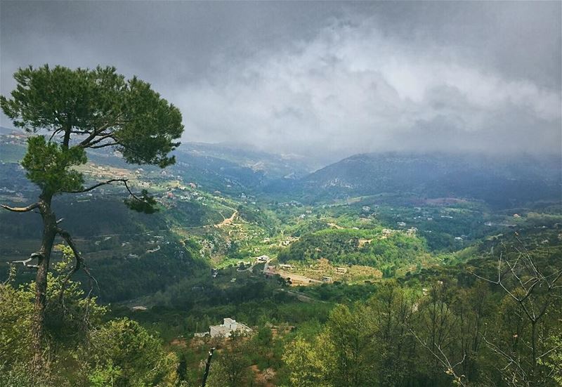 'in every walk with nature, one receives far more than he seeks...''''... (Baskinta, Lebanon)