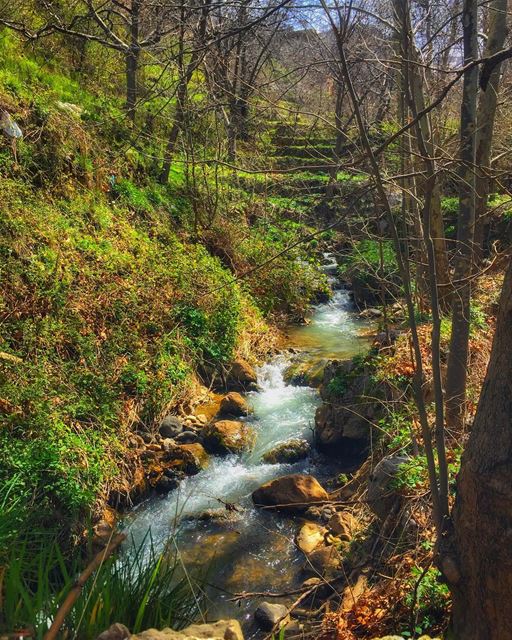 "In every walk with nature one receives far more than he seeks.”... (Tannurin At Tahta, Liban-Nord, Lebanon)