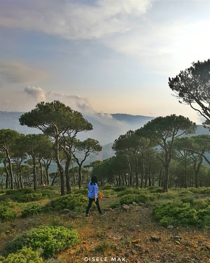In every walk with nature, one receives far more than they seek. walk ... (Baskinta, Lebanon)