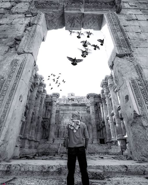 In front of some things or situations, nothing can be said or done. You... (Baalbek, Lebanon)