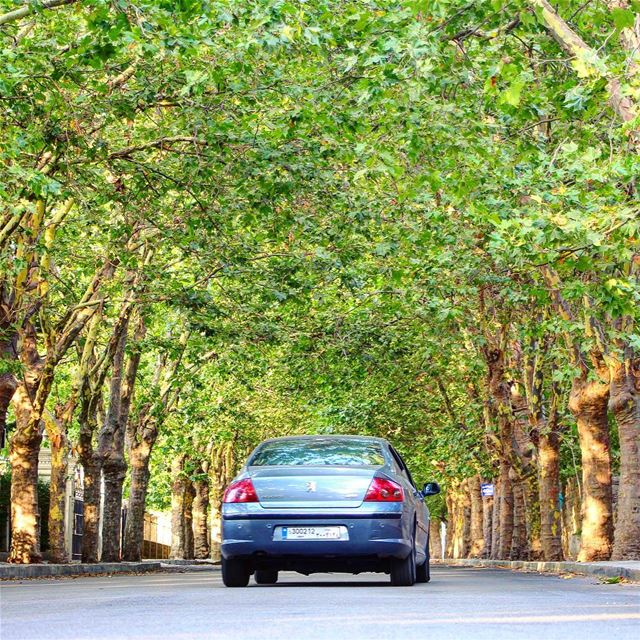 In love 😍  lebanon  lebanon_hdr  ig_lebanon  insta_lebanon  wearelebanon ... (Sawfar, Mont-Liban, Lebanon)