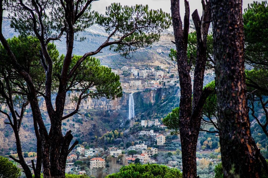 In  love with  Jezzine ❤️  Morning  Nature  waterfall  Trees  Green ... (Jezzîne, Al Janub, Lebanon)