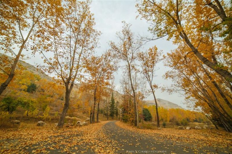 In love with this place.🍁🍂📷  laqlouq  lebanonshots ... (El Laqloûq, Mont-Liban, Lebanon)