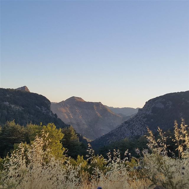 In love with those curves mountains  northlebanon  weekend  tb ...