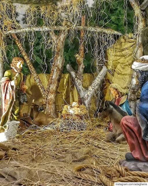 In my village, there was a huge fire last month. A Christmas crib was made...