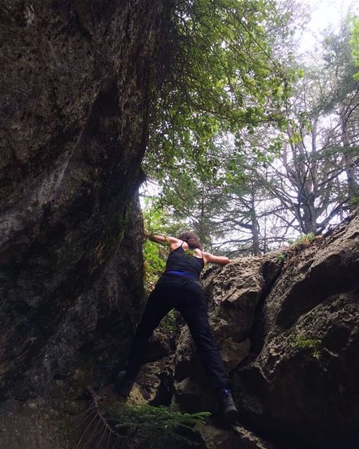 In search of magic.  Lebanon  Ehden  forest  mountain  trail  hike  cedar ... (Ehden, Lebanon)