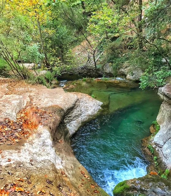 In search of tranquility I have found you 🍂🍁 (Lebanon)