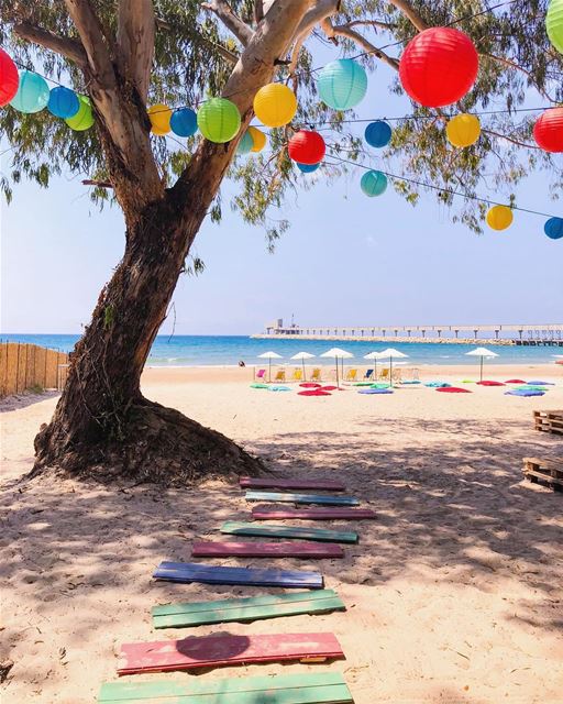 In the bright colors of real life 💛🧡💚💙 (Chekka)
