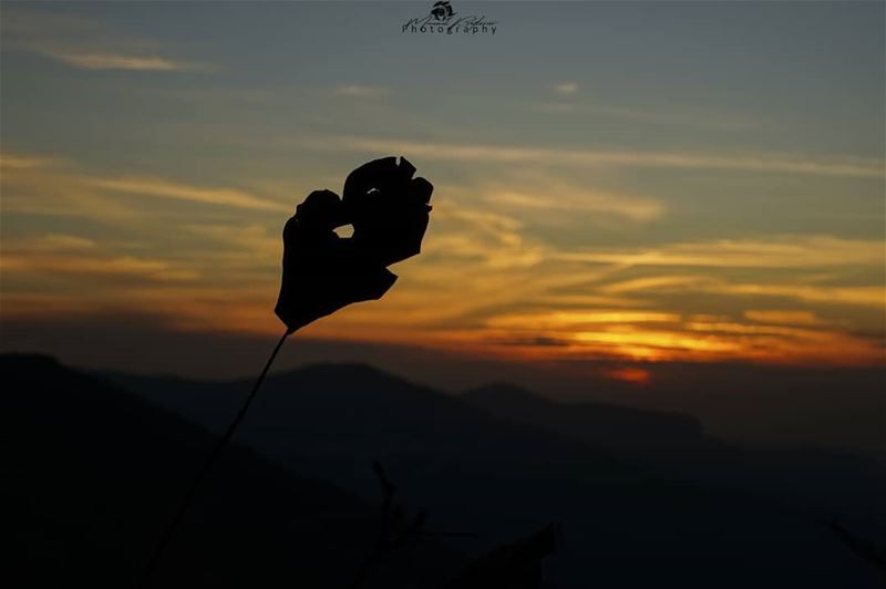 In the end, we'll all become stories 🍁 • • •  chouf  shoufreserve ...