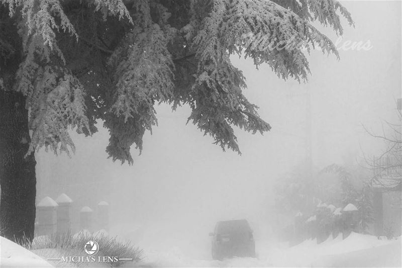 In the fog  lebanonbylocal  discover961  lebanon  thebestinlebanon ...